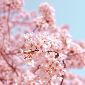 Meet your Posher, Pierce